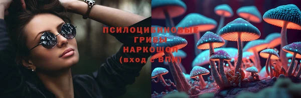 амф Пестово