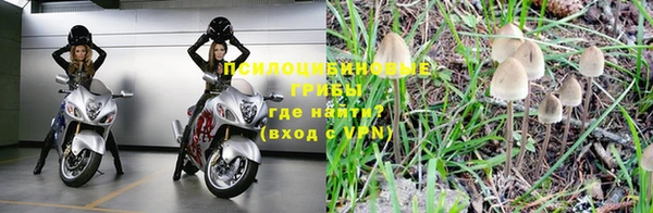 шишки Балахна