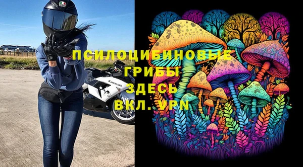 амф Пестово