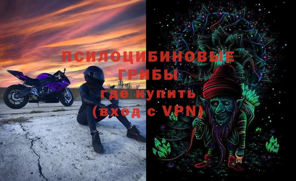 шишки Балахна