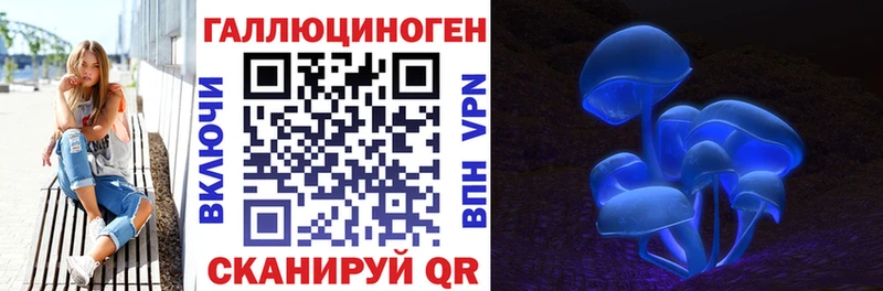 Галлюциногенные грибы Cubensis  Дыгулыбгей 